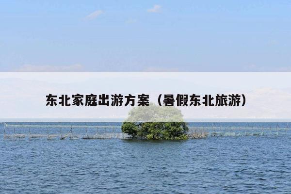 东北家庭出游方案（暑假东北旅游）