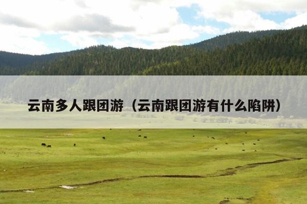 云南多人跟团游（云南跟团游有什么陷阱）