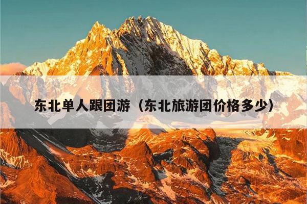 东北单人跟团游（东北旅游团价格多少）