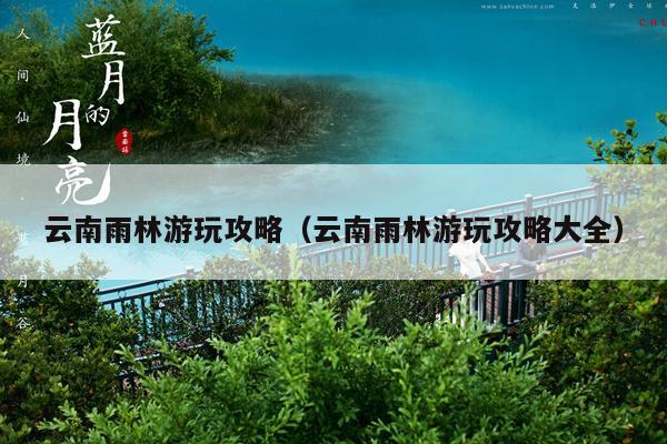 云南雨林游玩攻略（云南雨林游玩攻略大全）