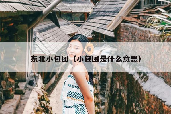 东北小包团（小包团是什么意思）