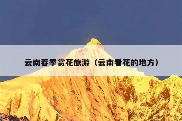 云南春季赏花旅游（云南看花的地方）