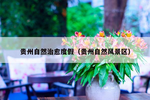 贵州自然治愈度假（贵州自然风景区）