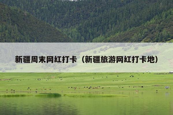 新疆周末网红打卡（新疆旅游网红打卡地）