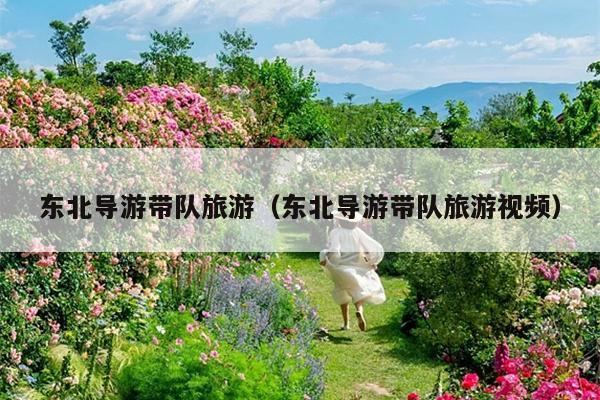 东北导游带队旅游（东北导游带队旅游视频）