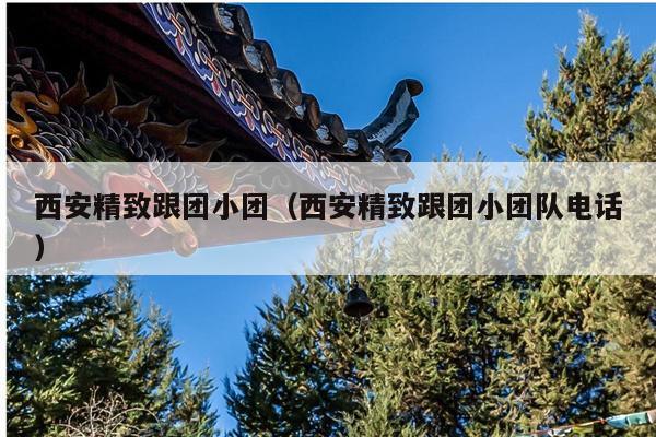 西安精致跟团小团（西安精致跟团小团队电话）