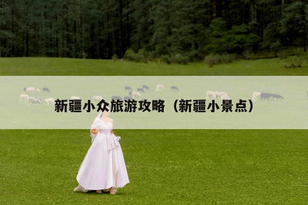 新疆小众旅游攻略（新疆小景点）