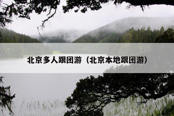 北京多人跟团游（北京本地跟团游）