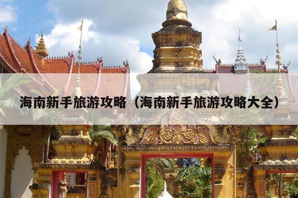 海南新手旅游攻略（海南新手旅游攻略大全）