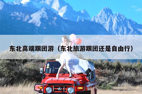 东北高端跟团游（东北旅游跟团还是自由行）
