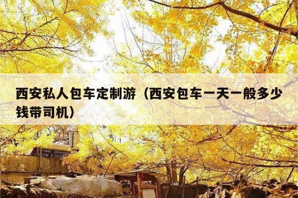 西安私人包车定制游（西安包车一天一般多少钱带司机）