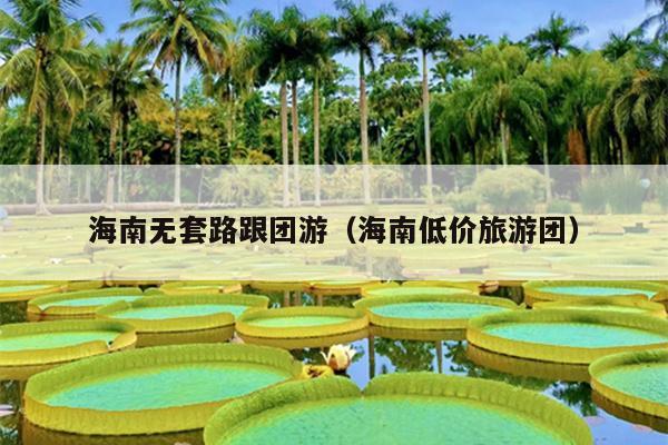 海南无套路跟团游（海南低价旅游团）