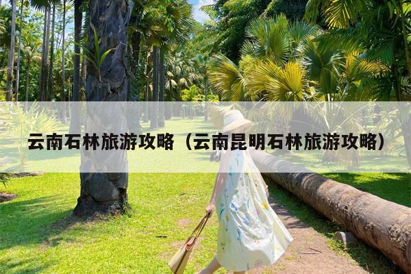 云南石林旅游攻略（云南昆明石林旅游攻略）