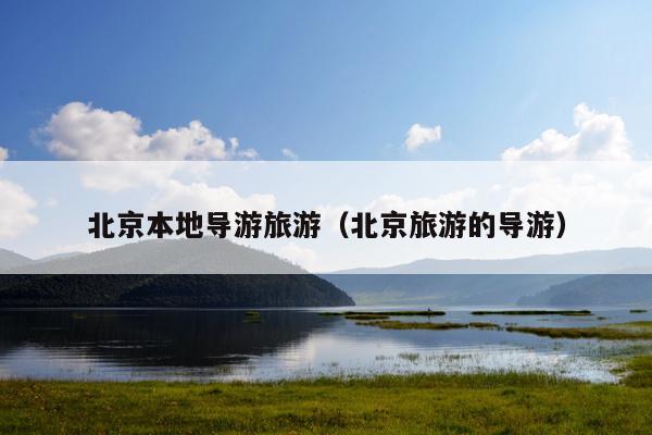 北京本地导游旅游（北京旅游的导游）