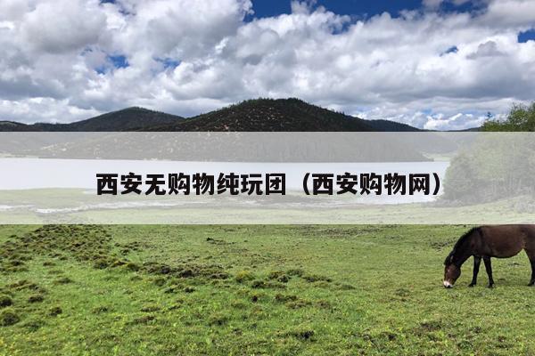 西安无购物纯玩团（西安购物网）