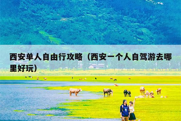 西安单人自由行攻略（西安一个人自驾游去哪里好玩）