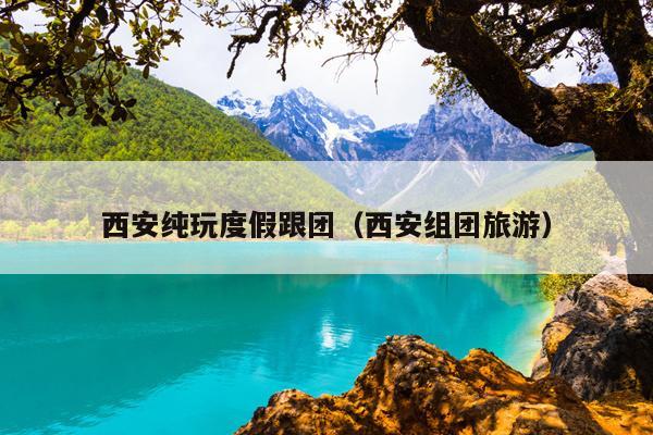 西安纯玩度假跟团（西安组团旅游）