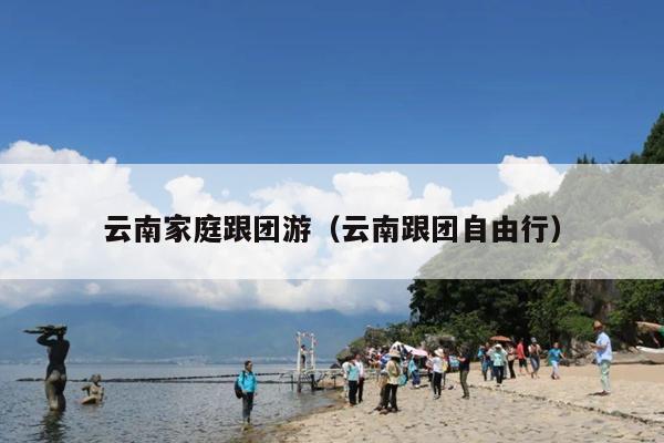 云南家庭跟团游（云南跟团自由行）
