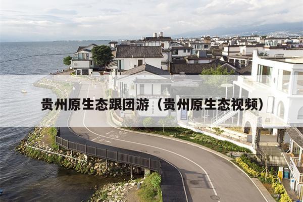 贵州原生态跟团游（贵州原生态视频）