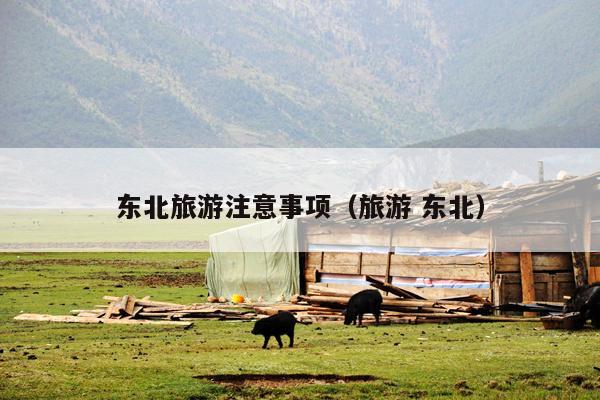 东北旅游注意事项（旅游 东北）