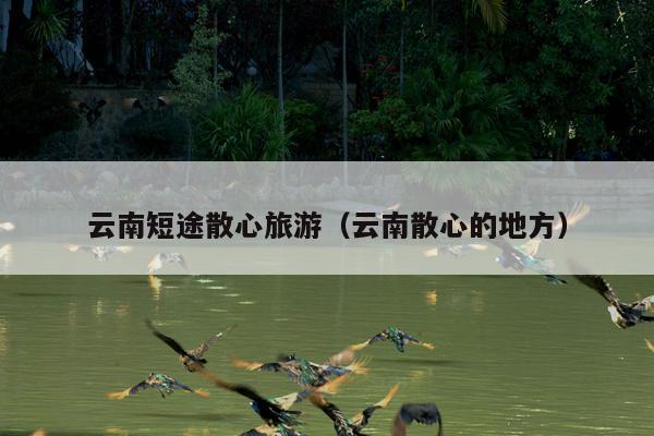 云南短途散心旅游（云南散心的地方）