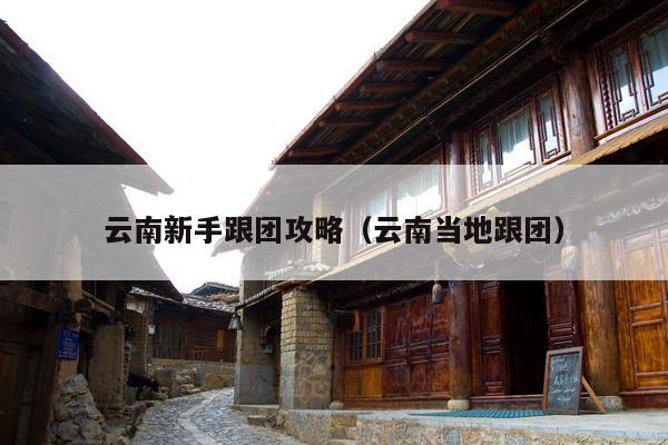 云南新手跟团攻略（云南当地跟团）