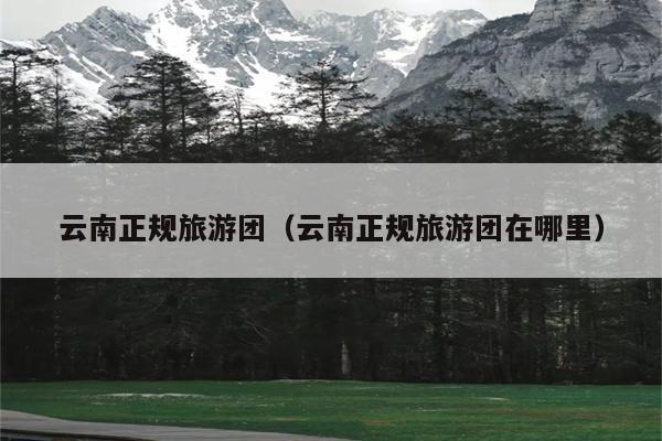 云南正规旅游团（云南正规旅游团在哪里）