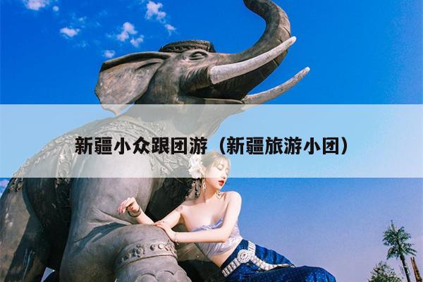 新疆小众跟团游（新疆旅游小团）