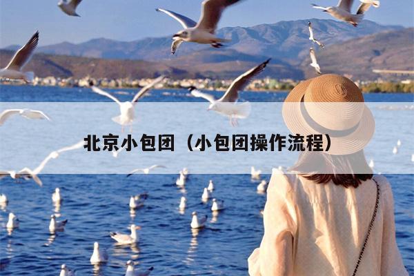 北京小包团（小包团操作流程）