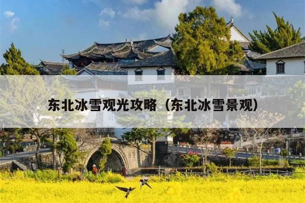 东北冰雪观光攻略（东北冰雪景观）