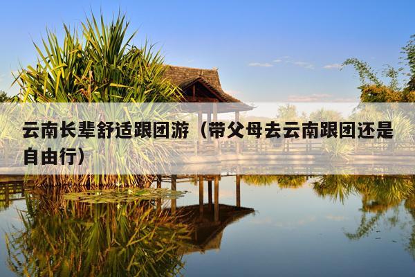 云南长辈舒适跟团游（带父母去云南跟团还是自由行）