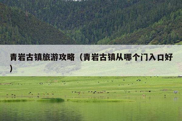 青岩古镇旅游攻略（青岩古镇从哪个门入口好）
