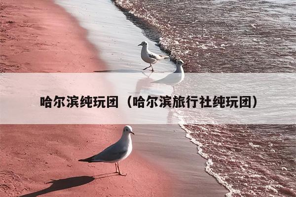 哈尔滨纯玩团（哈尔滨旅行社纯玩团）