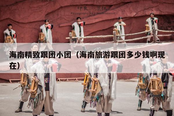 海南精致跟团小团（海南旅游跟团多少钱啊现在）