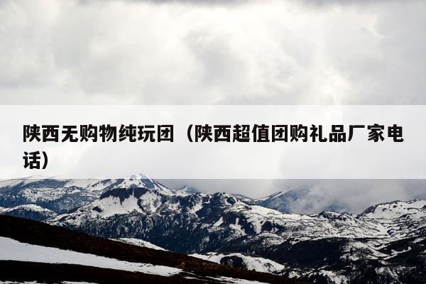 陕西无购物纯玩团（陕西超值团购礼品厂家电话）