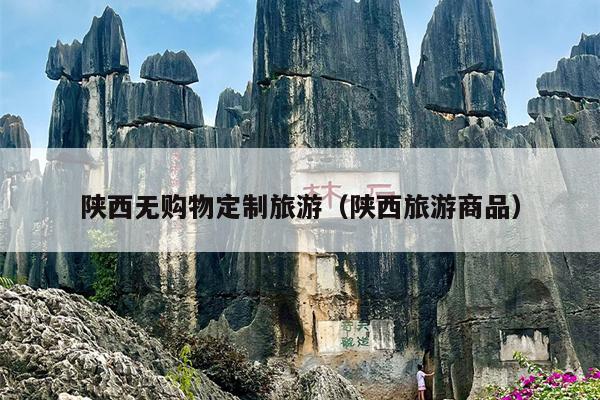 陕西无购物定制旅游（陕西旅游商品）