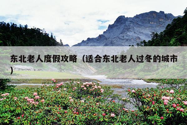 东北老人度假攻略（适合东北老人过冬的城市）