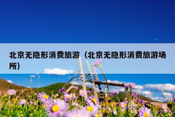 北京无隐形消费旅游（北京无隐形消费旅游场所）