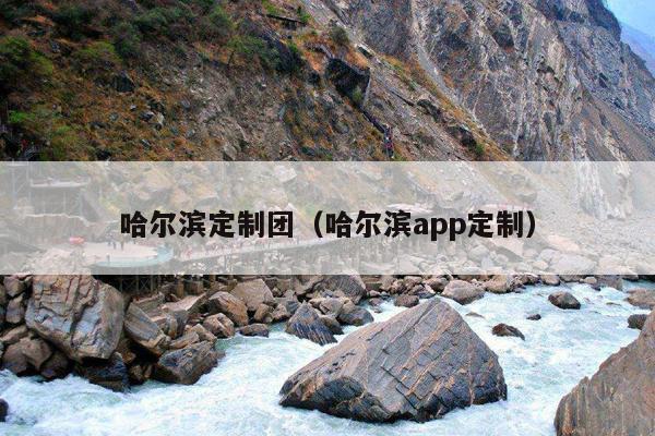哈尔滨定制团（哈尔滨app定制）