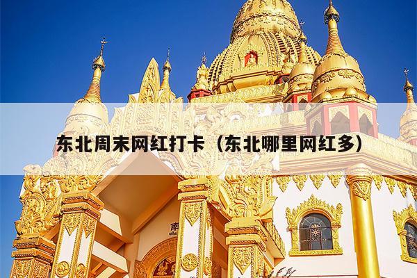 东北周末网红打卡（东北哪里网红多）
