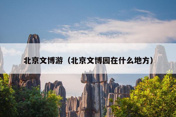 北京文博游（北京文博园在什么地方）