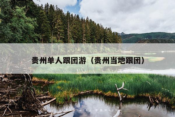 贵州单人跟团游（贵州当地跟团）