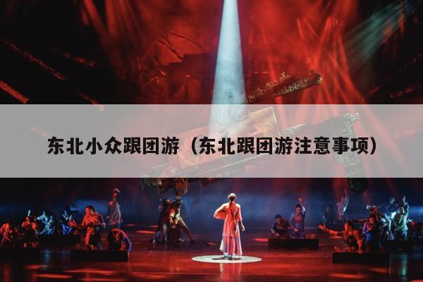 东北小众跟团游（东北跟团游注意事项）