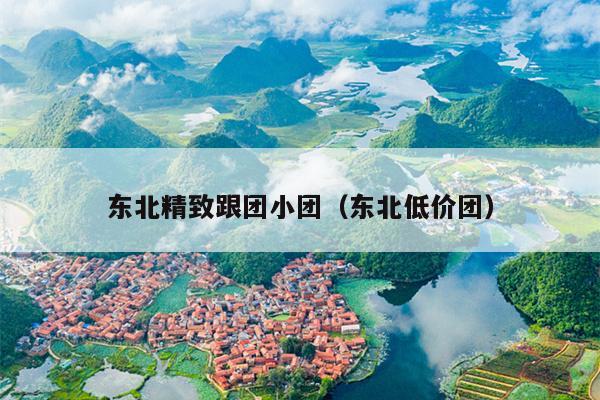 东北精致跟团小团（东北低价团）