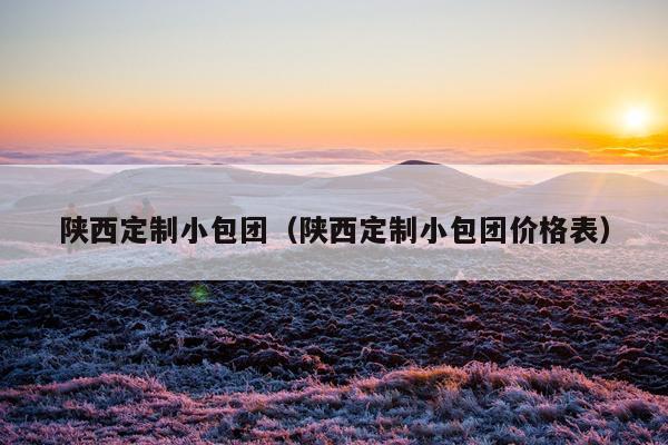 陕西定制小包团（陕西定制小包团价格表）