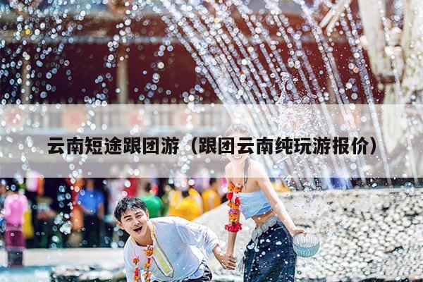 云南短途跟团游（跟团云南纯玩游报价）
