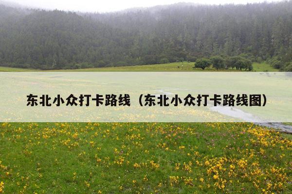 东北小众打卡路线（东北小众打卡路线图）