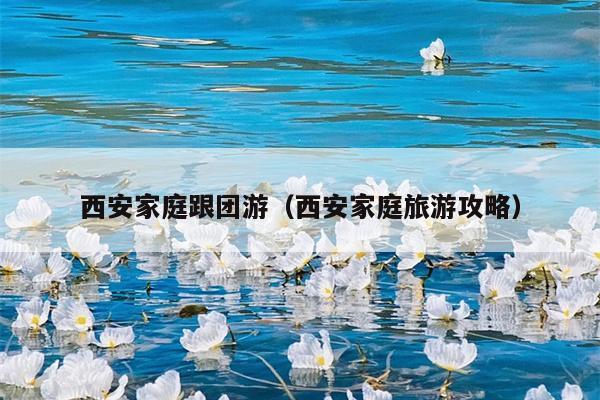西安家庭跟团游（西安家庭旅游攻略）