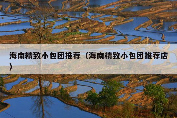 海南精致小包团推荐（海南精致小包团推荐店）