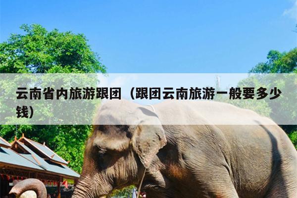 云南省内旅游跟团（跟团云南旅游一般要多少钱）